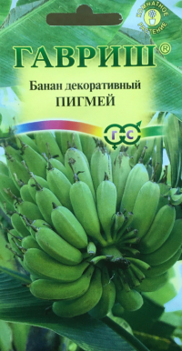 Банан декоративный Пигмей